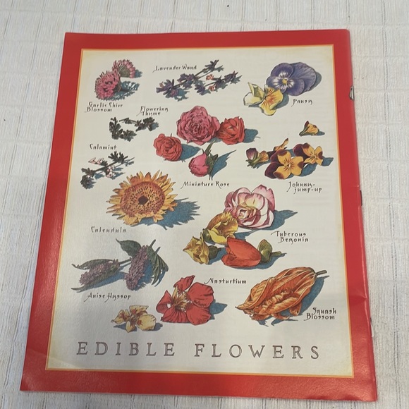 Cooks illustrated vintage 2003 & 2004 magazines bundle cooking baking recipe - Picture 15 of 16